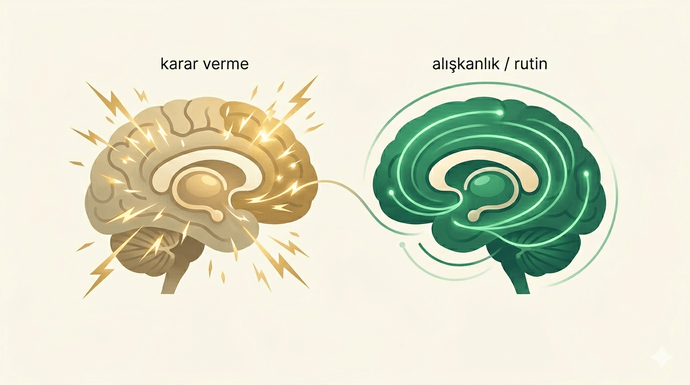 Prefrontal korteks ve bazal gangliyonlar — karar yorgunluğu ile rutin akışı karşılaştırması
